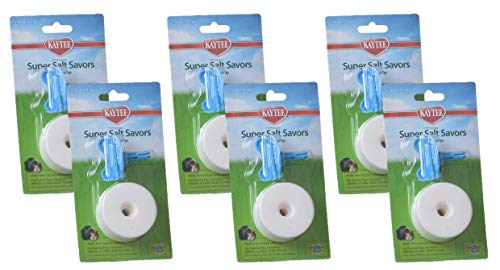 Kaytee 6 Stück Super Salt Savor 5,1 cm für kleine Haustiere von Kaytee