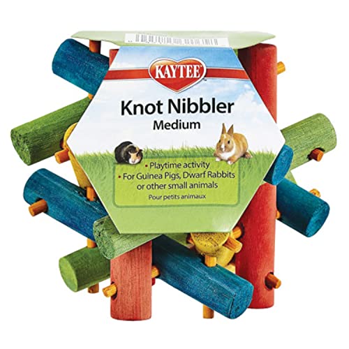 Kaytee 862065 Nut Knot Nibbler, Kauspielzeug für EIN kleines Haustier/Nagetier oder einen Hamster von Kaytee