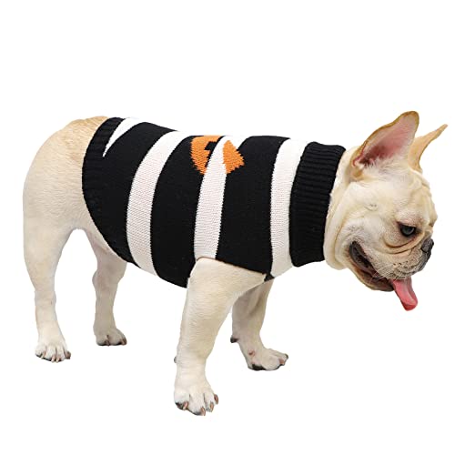 Kayto Haustier Halloween Pullover Hund Halloween Pullover Kätzchen Katze Urlaub Thema mit Kürbis Totenkopf Muster Hund Welpe Kostüm Kleidung (groß, schwarz) von Kayto