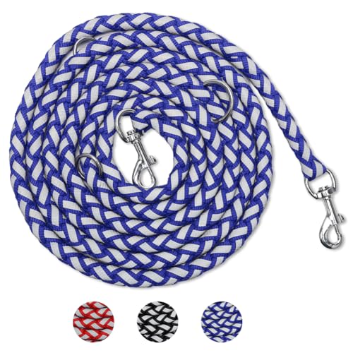 Kayuneed Hundeleine mit reflektierenden Streifen - Nylon Doppelleine mit 2 Karabiner, hundeleine kleine Hunde leicht 2.5m Hundeleine mittelgroße Hunde, Führleine für Hunde, Extreme bis 200 kg(Blau) von Kayuneed