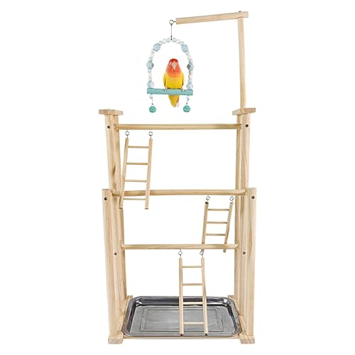 Bird Play Stand - Wooden Parrot Playstand, Parrot Playground Stand | Parrot Perch Playstand, Play Gym Stand, Bird Perch Stand, Parrot Playpen, Bird Gym for Cockatiels Budgie Lovebird Conures von Kbnuetyg