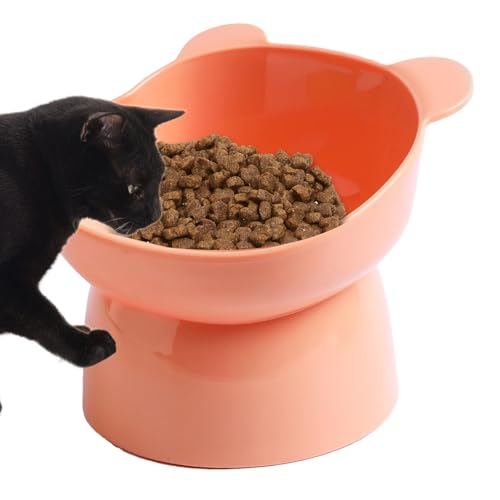 Futternapf für Katzen – erhöhter Futternapf, spülmaschinenfest, geneigter erhöhter Futternapf, Wassernäpfe, kein Verschütten, erhöhter Futternapf für Katzen und kleine Hunde von Kbnuetyg