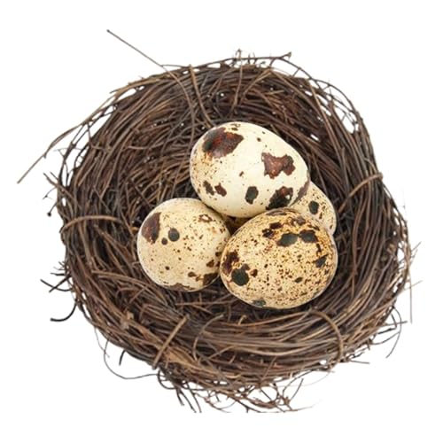 Handmade Woven Bird Nest - Rustic Outdoor Bird Habitat, Handcrafted Bird House | Handmade Woven Parrot Nest, Bird Breeding Sanctuary Safe Shelter for Hamster Birds, Decorative Garden Accent, 10x10cm von Kbnuetyg