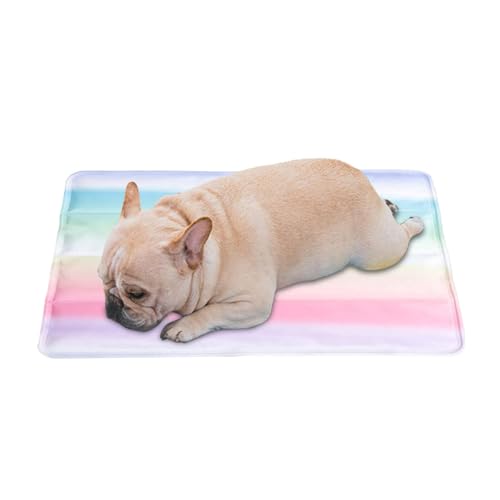 Pet Cooling Pad - Non Toxic Cooling Mat, Sleeping Kennel Mat | Portable Reusable Waterproof Pet Cool Pad, Colorful Rainbow Pet Bed Cooling Pet Mat for Indoor Outdoor Summer Heat Relief, 30x40cm von Kbnuetyg