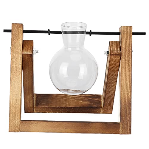 Kcabrtet Pflanzenvermehrungsstation, Pflanzenterrarium Mit Holzständer, Glas-Luftvermehrungspflanzgefäße, Glasvase Für Hydrokulturen Im Innenbereich, Wasserpflanzen, Hausgarten(Single Bottle) von Kcabrtet