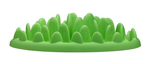 Kdesign NORTHMATE - Green Slow Eater, Green - (9510105) von Kdesign