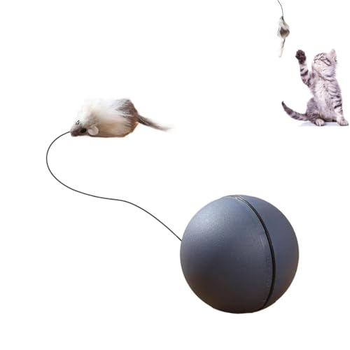 Interactive Cat Ball Toy, 2024 New Moving Cat Ball Toy with Fake Mouse, Interaktives Katzenspielzeug Katzenball, Selbstbeschäftigung Katzenspielzeug Katzenball Katzenspielzeug für Katzen Hunde (Grau) von Keeplus