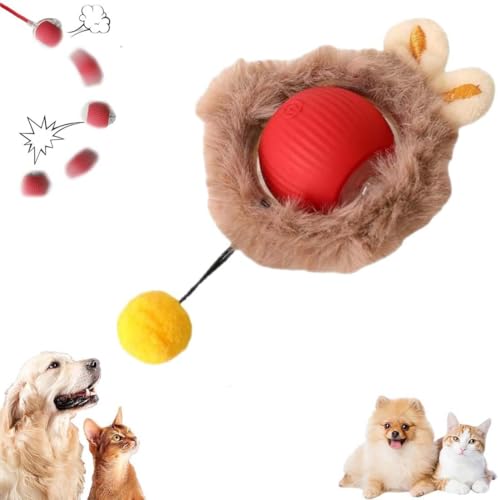 Keeplus Interactive Cat Toys Rolling Ball Chewie Dog Ball, Chewie Rolling Ball, Chewie Ball for Dogs,Interaktives Katzenspielzeug Ball, Katzenbälle Interaktives Katzenspielzeug Ball für Katze (Rot) von Keeplus