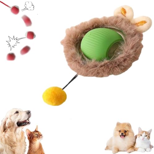 Keeplus Interactive Cat Toys Rolling Ball Chewie Dog Ball, Chewie Rolling Ball, Chewie Ball for Dogs,Interaktives Katzenspielzeug Ball, Katzenbälle Interaktives Katzenspielzeug Ball für Katze (Grün) von Keeplus