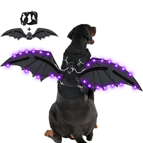 Keeric Hunde-Halloween-Kostüm, elektrische Fledermausflügel Hundekostüm mit LED-Lichtern, 56 LEDs, elektrische Hunde-Fledermausflügel, Halloween-lustiges Kostüm, Halloween-Party, Cosplay, lustiges von Keeric