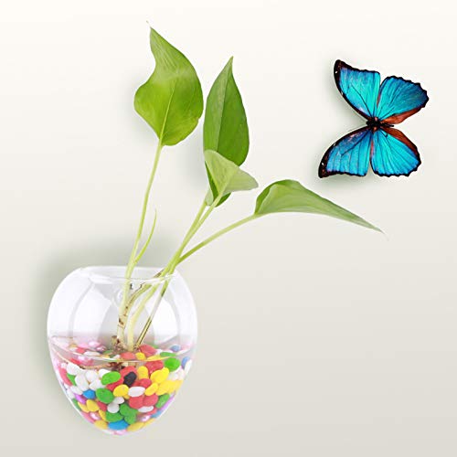 Hängende Pflanzen Blumen Glasvase Wand Hydrokultur Aquarium Behälter Klare Pflanzen Vase Home Decor (mouse shape) von Kelepu