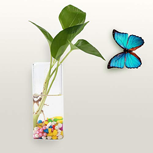 Hängende Pflanzen Blumen Glasvase Wand Hydrokultur Aquarium Behälter Klare Pflanzen Vase Home Decor (Long Tube Shape) von Kelepu