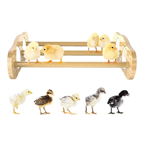 Chick Stand Perch - with Mirror Chicken Roosting Ladder | Wooden Roosting Jungle Chick Gym for Bird Papagei Hens Backyard Baby Chick Supplies Keloc von Keloc
