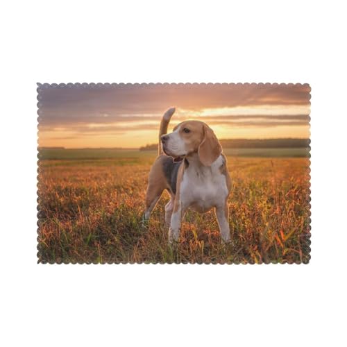 Beagle Rasenhunde auf einem Spaziergang Haustiere Hunde Sonnenuntergang, 6er Set Tischsets Waschbar Platzsets für Esstisch Hitzebeständig Tablettmatten 30x45cm von KemEng