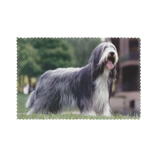 Bearded Collie Beardie Curly Grau Hunde Haustiere, 6er Set Tischsets Waschbar Platzsets für Esstisch Hitzebeständig Tablettmatten 30x45cm von KemEng