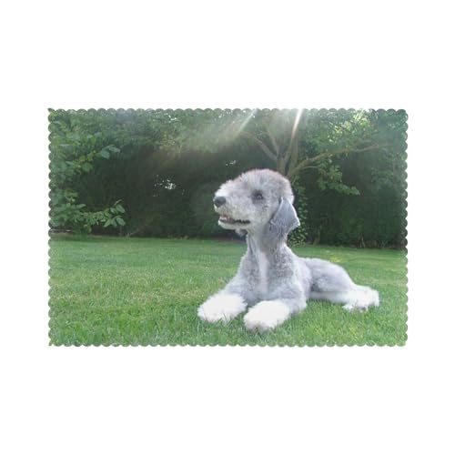 Bedlington Terrier Lustige Hunde Pelzige Hunde Haustiere, 6er Set Tischsets Waschbar Platzsets für Esstisch Hitzebeständig Tablettmatten 30x45cm von KemEng