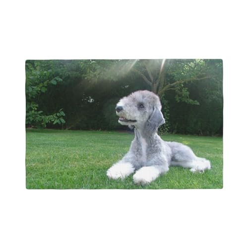 Bedlington Terrier Lustige Hunde Pelzige Hunde Haustiere,Tischsets aus Leinenimitat, 6er-Set, waschbar, hitzebeständig, Tablettunterlage, 30 x 45 cm von KemEng