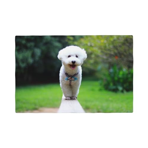 Bichon Frise Bokeh Haustiere Hunde Park Weiße Hunde,Tischsets aus Leinenimitat, 6er-Set, waschbar, hitzebeständig, Tablettunterlage, 30 x 45 cm von KemEng