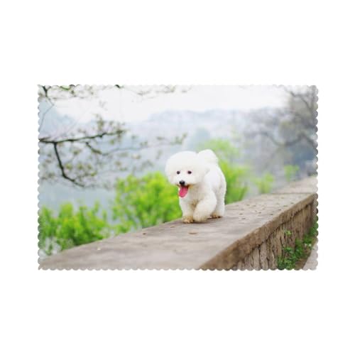 Bichon Frise Park Haustiere Hunde Bichon Frise Hunde, 6er Set Tischsets Waschbar Platzsets für Esstisch Hitzebeständig Tablettmatten 30x45cm von KemEng