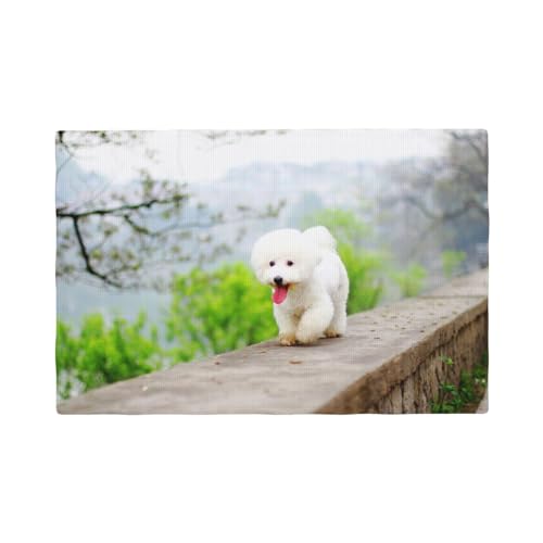 Bichon Frise Park Haustiere Hunde Bichon Frise Hunde,Tischsets aus Leinenimitat, 6er-Set, waschbar, hitzebeständig, Tablettunterlage, 30 x 45 cm von KemEng