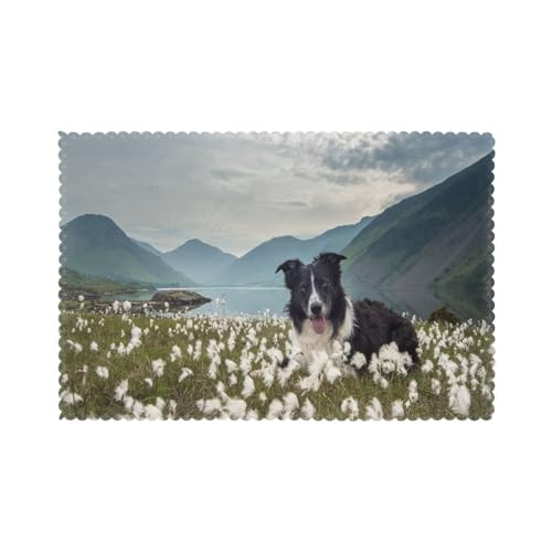 Border Collie Hunde Haustiere Grasland Black Border, 6er Set Tischsets Waschbar Platzsets für Esstisch Hitzebeständig Tablettmatten 30x45cm von KemEng