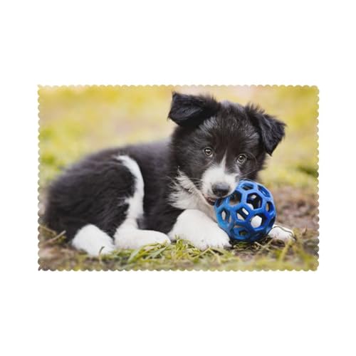 Border Collie Hunde Welpen Haustiere schwarzer Rand, 6er Set Tischsets Waschbar Platzsets für Esstisch Hitzebeständig Tablettmatten 30x45cm von KemEng