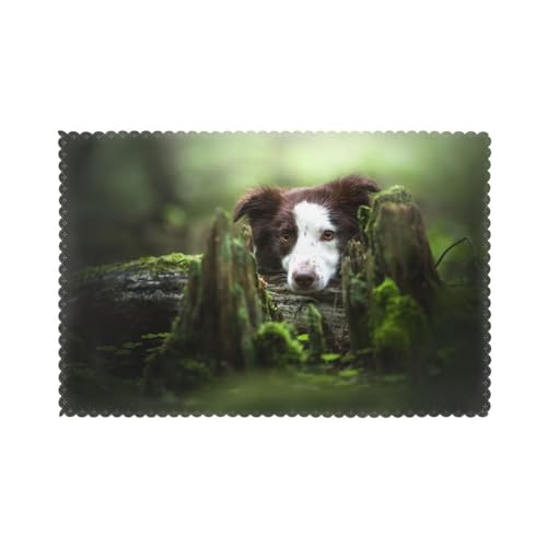 Border Collie Stone Sweet Brown Hunde Haustiere, 6er Set Tischsets Waschbar Platzsets für Esstisch Hitzebeständig Tablettmatten 30x45cm von KemEng