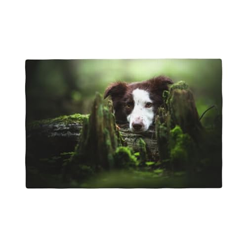 Border Collie Stone Sweet Brown Hunde Haustiere,Tischsets aus Leinenimitat, 6er-Set, waschbar, hitzebeständig, Tablettunterlage, 30 x 45 cm von KemEng