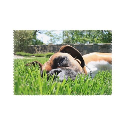 Boxer Hunde Grünes Gras Haustiere Rasen Hunde, 6er Set Tischsets Waschbar Platzsets für Esstisch Hitzebeständig Tablettmatten 30x45cm von KemEng