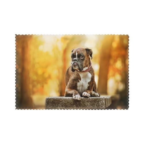 Boxer Hunde Herbst Haustiere Braune Boxer Hunde, 6er Set Tischsets Waschbar Platzsets für Esstisch Hitzebeständig Tablettmatten 30x45cm von KemEng