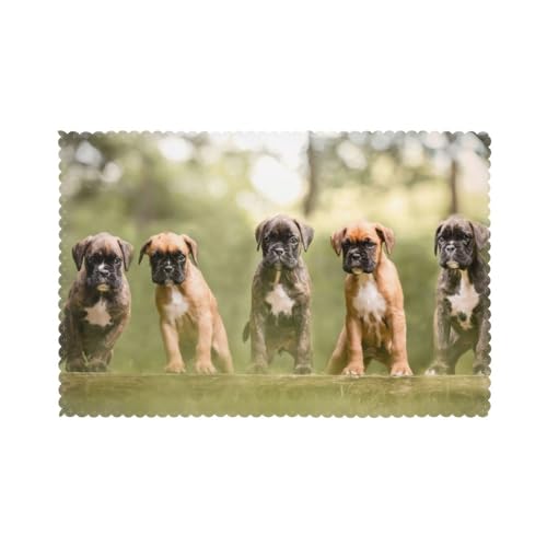 Boxer Hunde Welpen Haustiere Familienhunde, 6er Set Tischsets Waschbar Platzsets für Esstisch Hitzebeständig Tablettmatten 30x45cm von KemEng