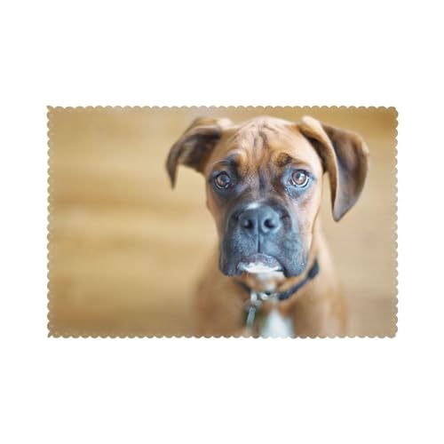 Boxer Hunde Welpen Haustiere Hunde, 6er Set Tischsets Waschbar Platzsets für Esstisch Hitzebeständig Tablettmatten 30x45cm von KemEng