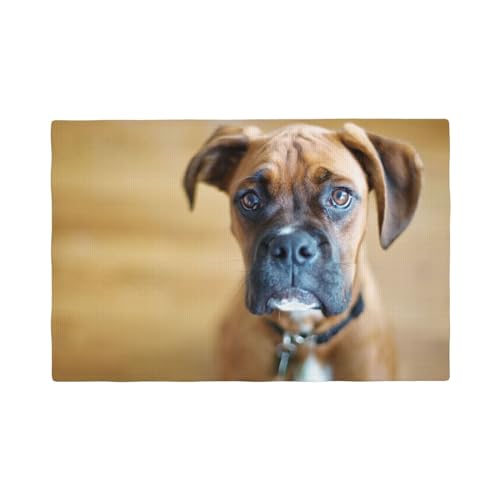 Boxer Hunde Welpen Haustiere Hunde,Tischsets aus Leinenimitat, 6er-Set, waschbar, hitzebeständig, Tablettunterlage, 30 x 45 cm von KemEng