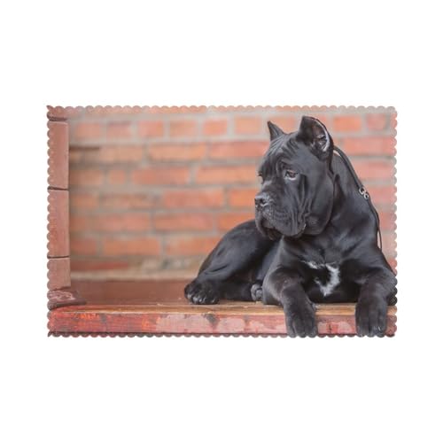 Cane Corso Große Schwarze Hunde Haustiere, 6er Set Tischsets Waschbar Platzsets für Esstisch Hitzebeständig Tablettmatten 30x45cm von KemEng