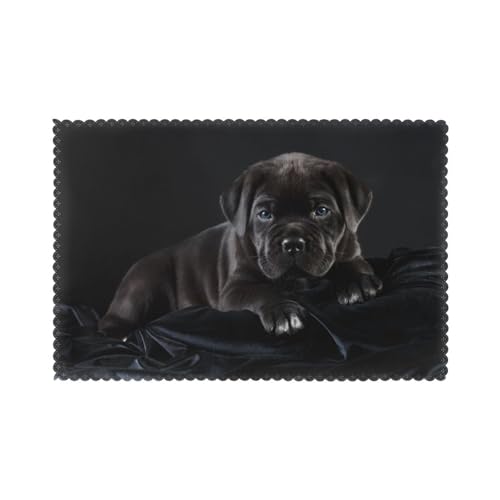 Cane Corso Haustiere Welpe Schwarz Cane Corso, 6er Set Tischsets Waschbar Platzsets für Esstisch Hitzebeständig Tablettmatten 30x45cm von KemEng