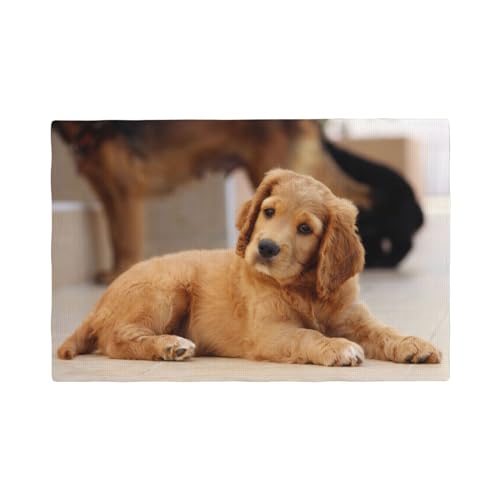 Cocker Spaniel Welpe Kleine Spaniel Hunde Haustiere,Tischsets aus Leinenimitat, 6er-Set, waschbar, hitzebeständig, Tablettunterlage, 30 x 45 cm von KemEng