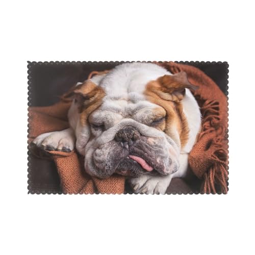 Englische Bulldoggen Maulkorb Haustiere Schlafende Hunde, 6er Set Tischsets Waschbar Platzsets für Esstisch Hitzebeständig Tablettmatten 30x45cm von KemEng