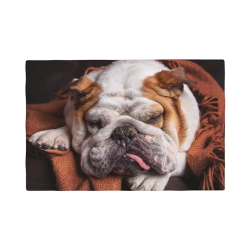 Englische Bulldoggen Maulkorb Haustiere Schlafende Hunde,Tischsets aus Leinenimitat, 6er-Set, waschbar, hitzebeständig, Tablettunterlage, 30 x 45 cm von KemEng