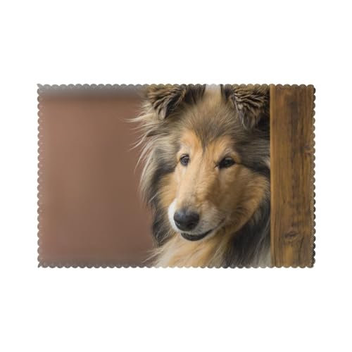 Langhaarcollie, Lassie-Hunde, große, Flauschige Hunde, Haustiere, 6er Set Tischsets Waschbar Platzsets für Esstisch Hitzebeständig Tablettmatten 30x45cm von KemEng