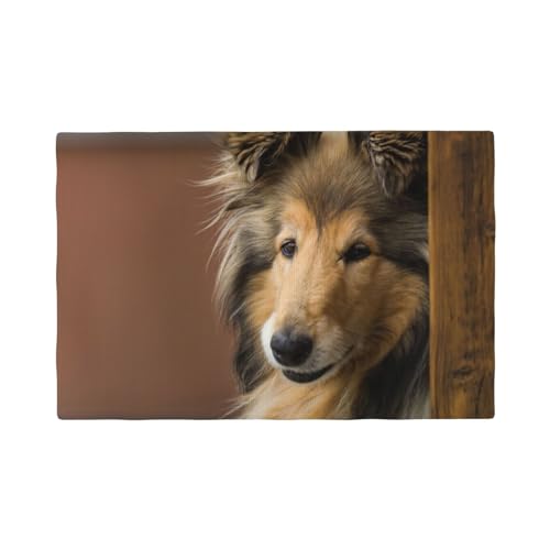 Langhaarcollie, Lassie-Hunde, große, Flauschige Hunde, Haustiere,Tischsets aus Leinenimitat, 6er-Set, waschbar, hitzebeständig, Tablettunterlage, 30 x 45 cm von KemEng