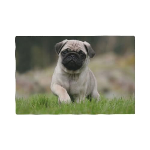 Mops Bokeh Welpen Hunde Rasen Haustiere Mops,Tischsets aus Leinenimitat, 6er-Set, waschbar, hitzebeständig, Tablettunterlage, 30 x 45 cm von KemEng