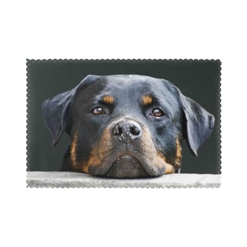 Rottweiler Haustiere Hunde Rottweiler, 6er Set Tischsets Waschbar Platzsets für Esstisch Hitzebeständig Tablettmatten 30x45cm von KemEng