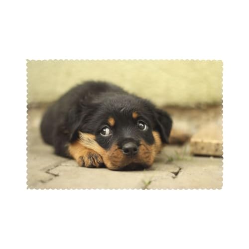 Rottweiler Hunde Süße Hunde Welpen Haustiere Klein, 6er Set Tischsets Waschbar Platzsets für Esstisch Hitzebeständig Tablettmatten 30x45cm von KemEng