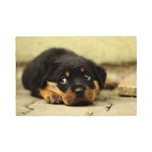 Rottweiler Hunde Süße Hunde Welpen Haustiere Klein,Tischsets aus Leinenimitat, 6er-Set, waschbar, hitzebeständig, Tablettunterlage, 30 x 45 cm von KemEng