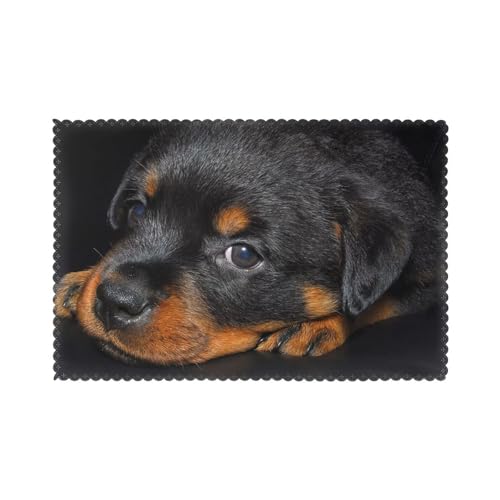 Rottweiler-Welpen, Haustiere, kleine Rottweiler-Hunde, 6er Set Tischsets Waschbar Platzsets für Esstisch Hitzebeständig Tablettmatten 30x45cm von KemEng