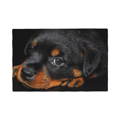 Rottweiler-Welpen, Haustiere, kleine Rottweiler-Hunde,Tischsets aus Leinenimitat, 6er-Set, waschbar, hitzebeständig, Tablettunterlage, 30 x 45 cm von KemEng