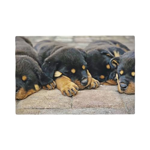 Rottweiler schlafende Hunde Haustiere Welpen klein,Tischsets aus Leinenimitat, 6er-Set, waschbar, hitzebeständig, Tablettunterlage, 30 x 45 cm von KemEng