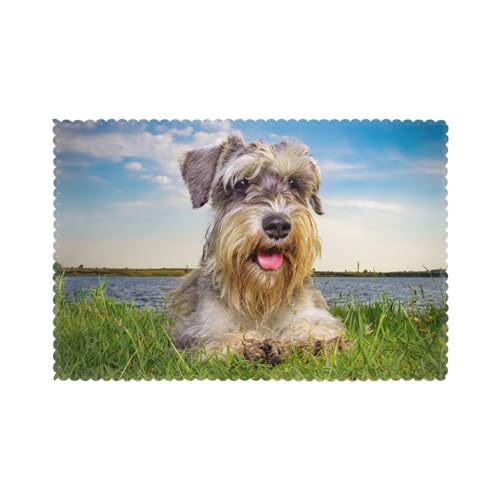 Schnauzer Rasen Haustiere Graue Hunde Chnauzer, 6er Set Tischsets Waschbar Platzsets für Esstisch Hitzebeständig Tablettmatten 30x45cm von KemEng