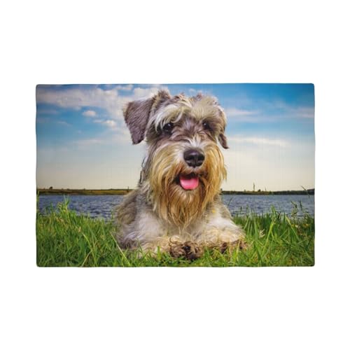 Schnauzer Rasen Haustiere Graue Hunde Chnauzer,Tischsets aus Leinenimitat, 6er-Set, waschbar, hitzebeständig, Tablettunterlage, 30 x 45 cm von KemEng