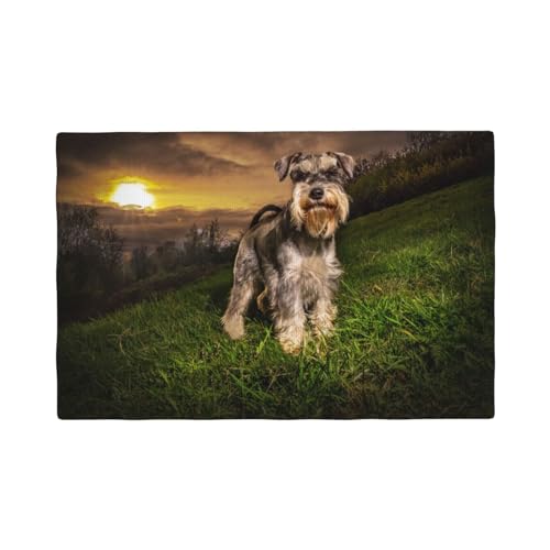 Schnauzer Sonnenuntergang Hunde Haustiere Berge Schnauzer,Tischsets aus Leinenimitat, 6er-Set, waschbar, hitzebeständig, Tablettunterlage, 30 x 45 cm von KemEng